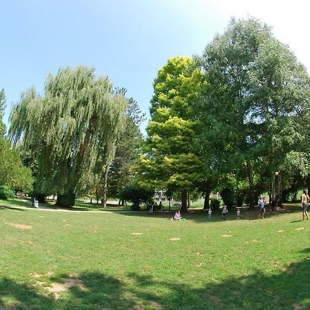 Apartments Banjica Сокобаня Экстерьер фото