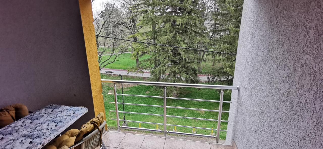 Apartments Banjica Сокобаня Экстерьер фото