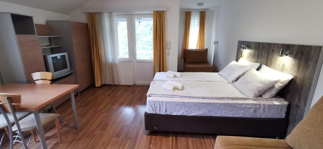 Apartments Banjica Сокобаня Экстерьер фото