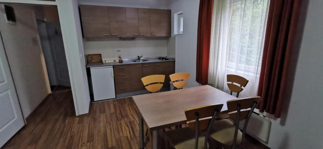 Apartments Banjica Сокобаня Экстерьер фото
