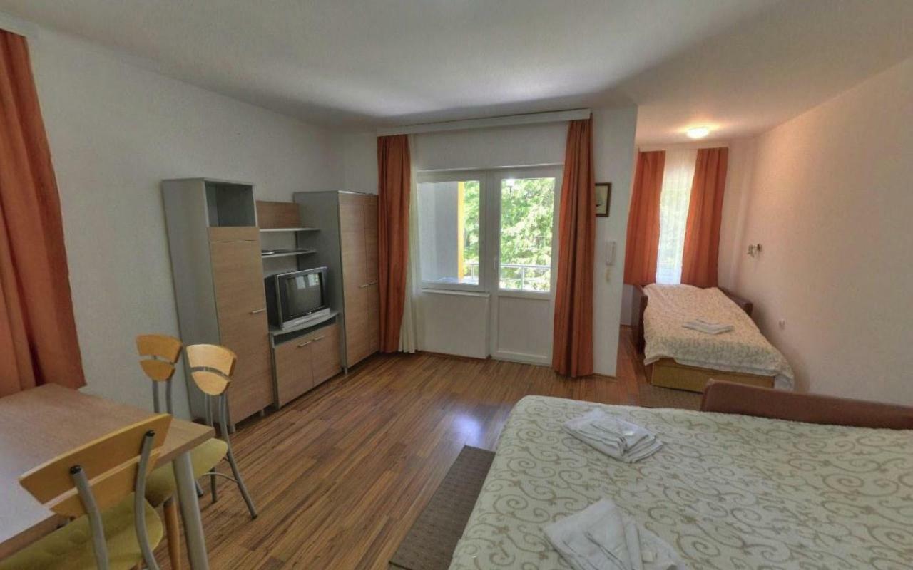Apartments Banjica Сокобаня Экстерьер фото